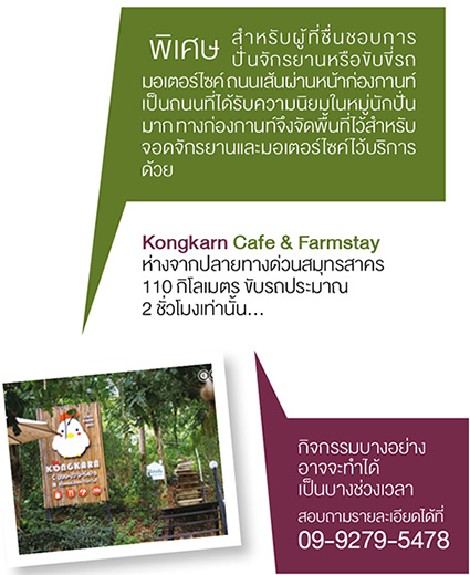 Kongkarn Cafe & Farmstay